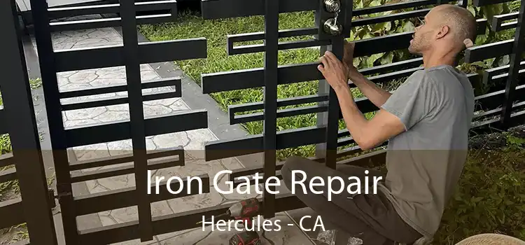  Iron Gate Repair Hercules - CA