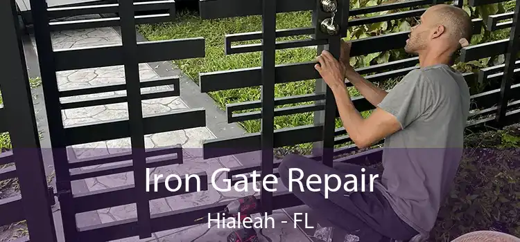  Iron Gate Repair Hialeah - FL