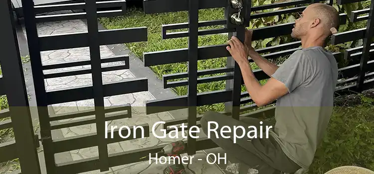  Iron Gate Repair Homer - OH