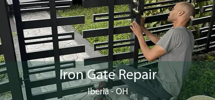  Iron Gate Repair Iberia - OH