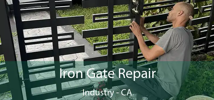  Iron Gate Repair Industry - CA