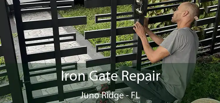  Iron Gate Repair Juno Ridge - FL