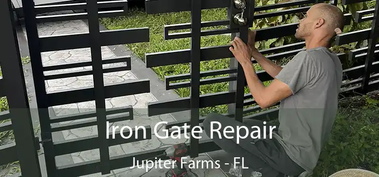  Iron Gate Repair Jupiter Farms - FL