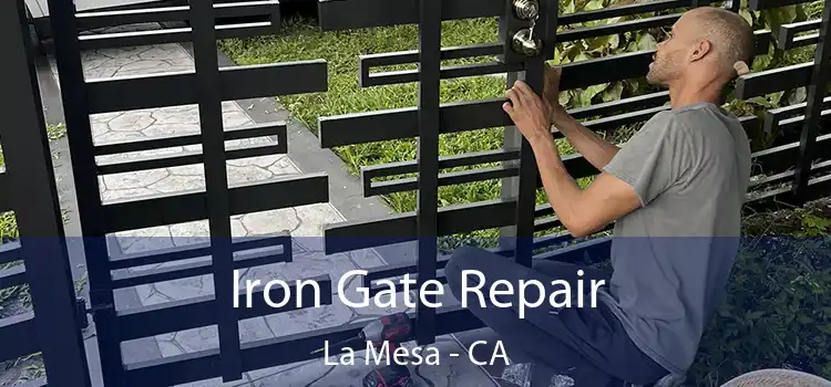  Iron Gate Repair La Mesa - CA