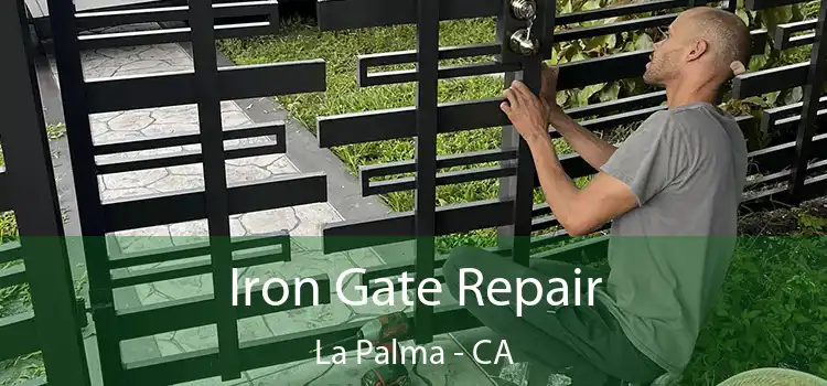  Iron Gate Repair La Palma - CA