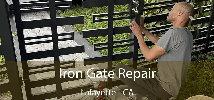  Iron Gate Repair Lafayette - CA