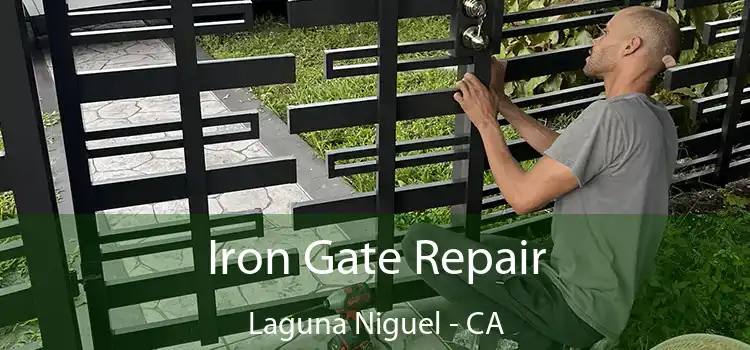  Iron Gate Repair Laguna Niguel - CA