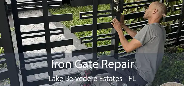  Iron Gate Repair Lake Belvedere Estates - FL