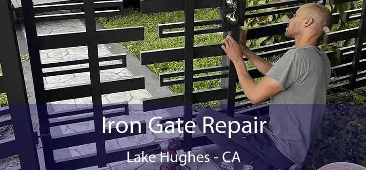  Iron Gate Repair Lake Hughes - CA