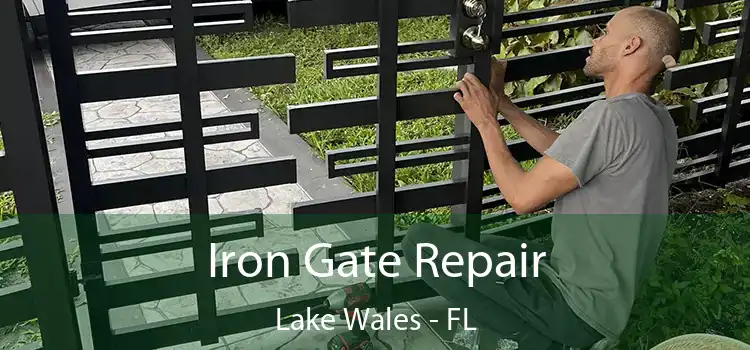  Iron Gate Repair Lake Wales - FL