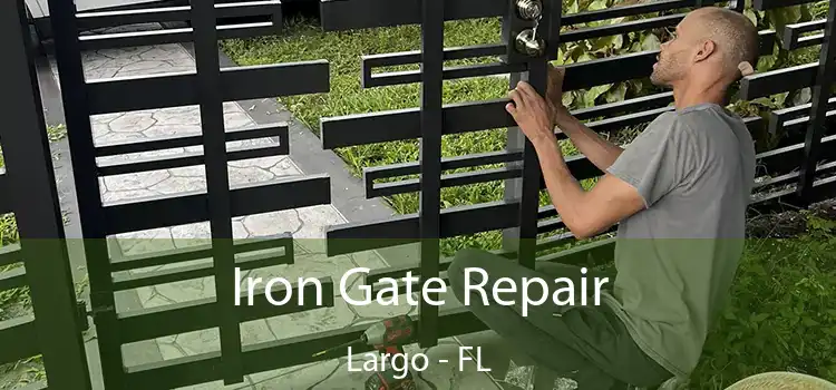  Iron Gate Repair Largo - FL