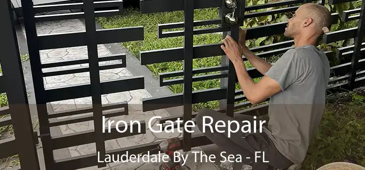  Iron Gate Repair Lauderdale By The Sea - FL