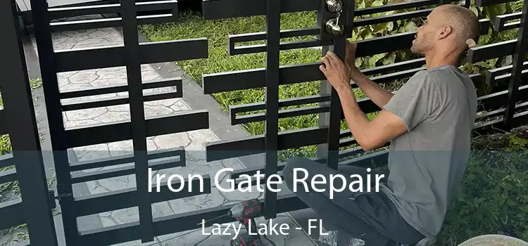  Iron Gate Repair Lazy Lake - FL