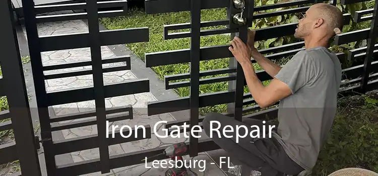  Iron Gate Repair Leesburg - FL