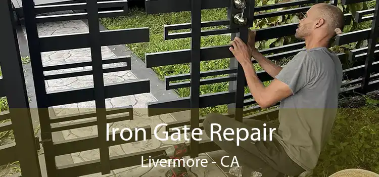  Iron Gate Repair Livermore - CA