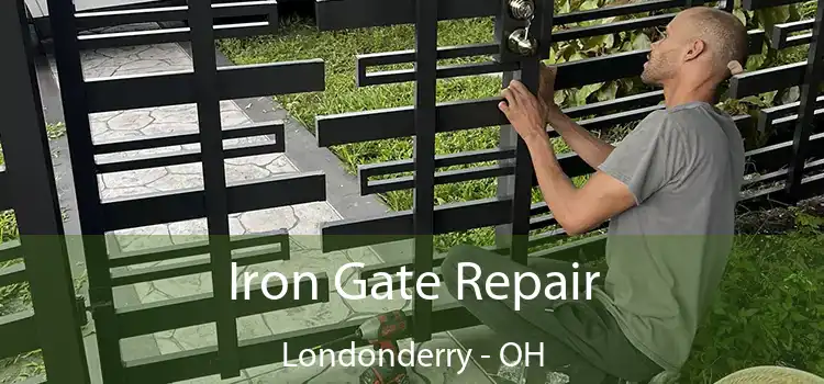  Iron Gate Repair Londonderry - OH