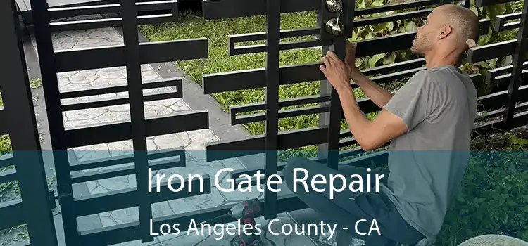  Iron Gate Repair Los Angeles County - CA