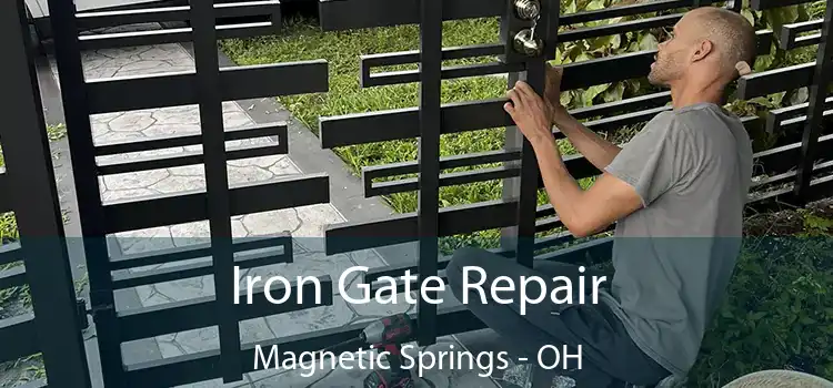  Iron Gate Repair Magnetic Springs - OH