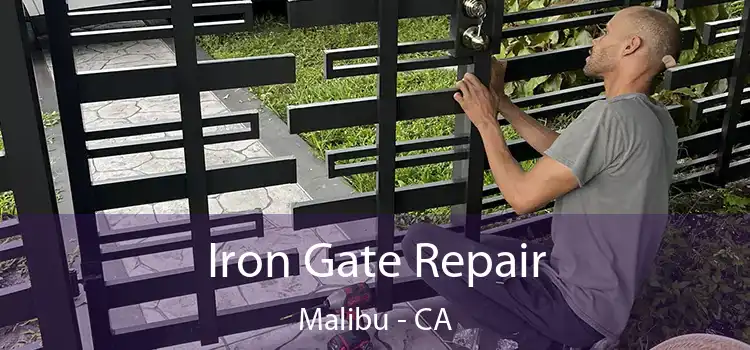  Iron Gate Repair Malibu - CA