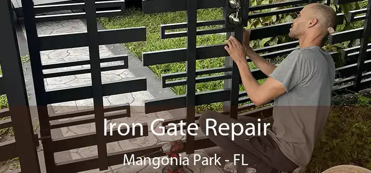  Iron Gate Repair Mangonia Park - FL