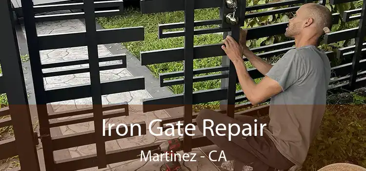  Iron Gate Repair Martinez - CA