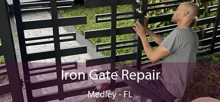  Iron Gate Repair Medley - FL