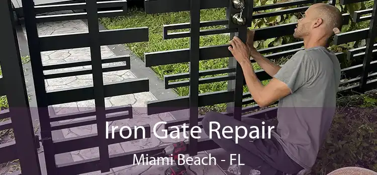  Iron Gate Repair Miami Beach - FL