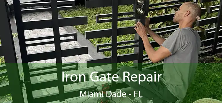  Iron Gate Repair Miami Dade - FL