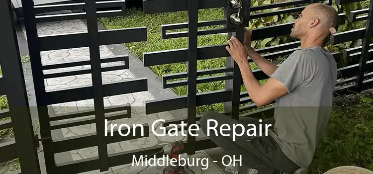  Iron Gate Repair Middleburg - OH