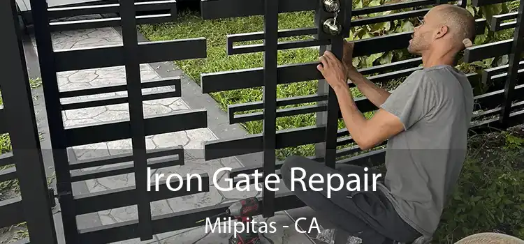  Iron Gate Repair Milpitas - CA