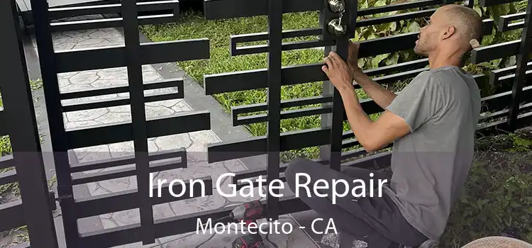  Iron Gate Repair Montecito - CA