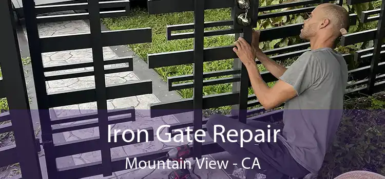  Iron Gate Repair Mountain View - CA