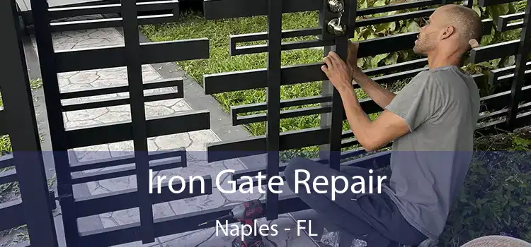  Iron Gate Repair Naples - FL