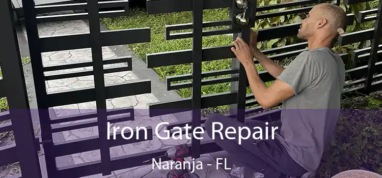  Iron Gate Repair Naranja - FL