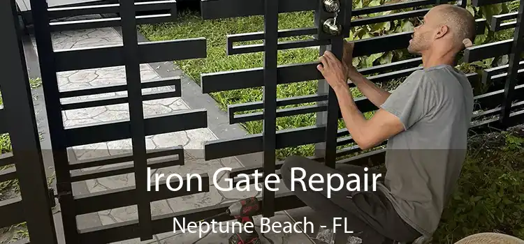  Iron Gate Repair Neptune Beach - FL