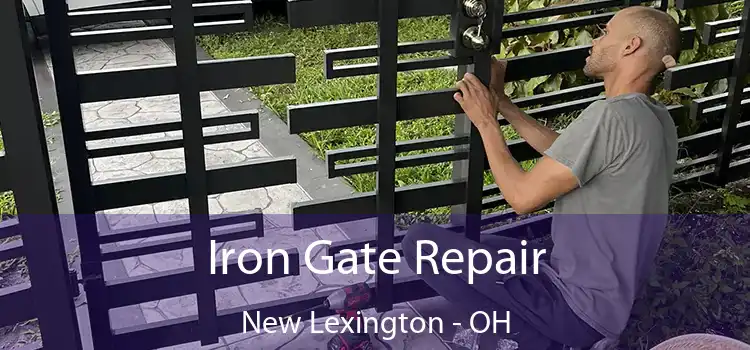  Iron Gate Repair New Lexington - OH