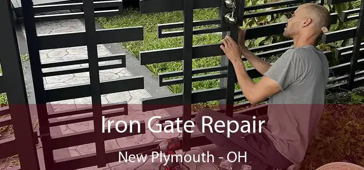  Iron Gate Repair New Plymouth - OH