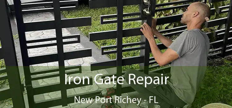  Iron Gate Repair New Port Richey - FL