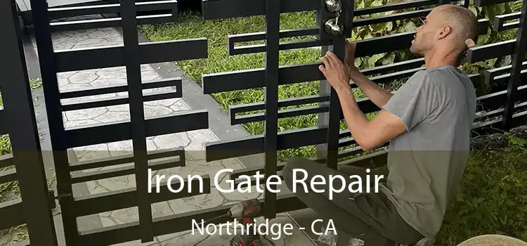  Iron Gate Repair Northridge - CA