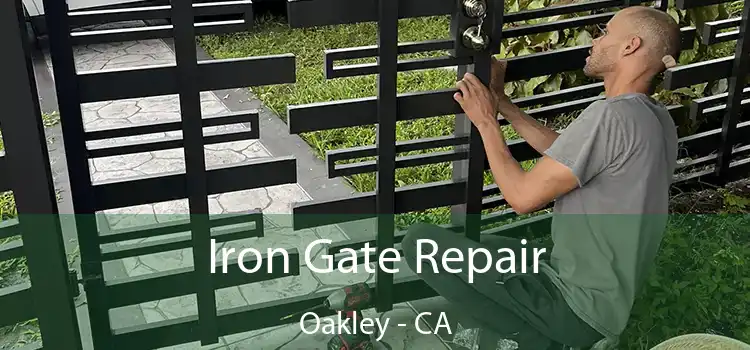  Iron Gate Repair Oakley - CA