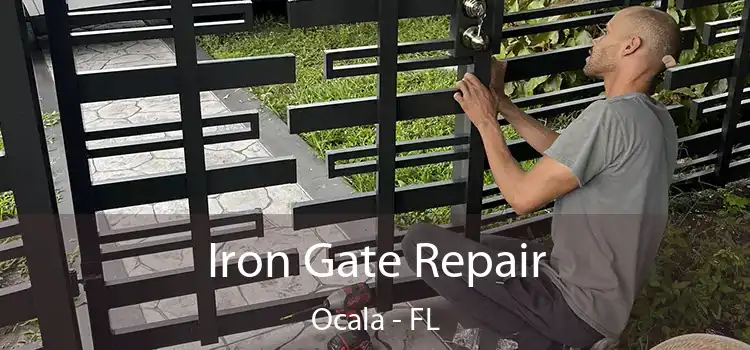  Iron Gate Repair Ocala - FL