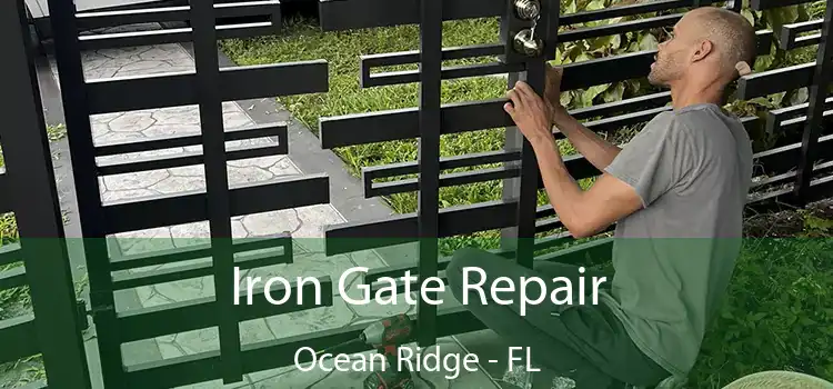  Iron Gate Repair Ocean Ridge - FL