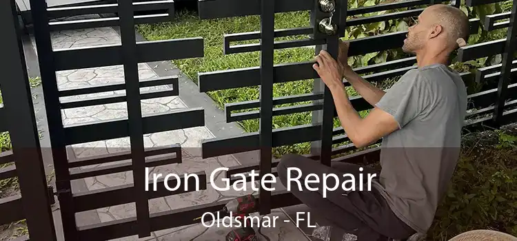  Iron Gate Repair Oldsmar - FL