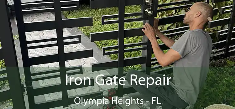  Iron Gate Repair Olympia Heights - FL