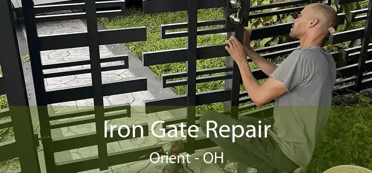  Iron Gate Repair Orient - OH