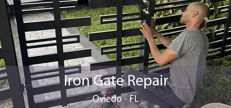  Iron Gate Repair Oviedo - FL