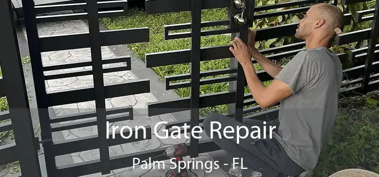  Iron Gate Repair Palm Springs - FL