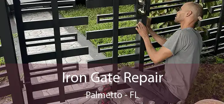  Iron Gate Repair Palmetto - FL