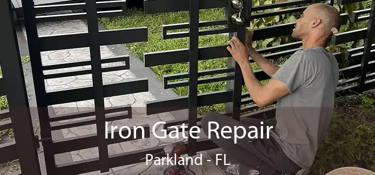  Iron Gate Repair Parkland - FL