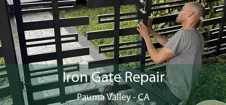  Iron Gate Repair Pauma Valley - CA